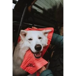 The Absorber XX-Large Pet Towel 7 The Absorber XX-Large Pet Towel -Pet Wellness 215391 PT4. AC SS1800 V1613088678