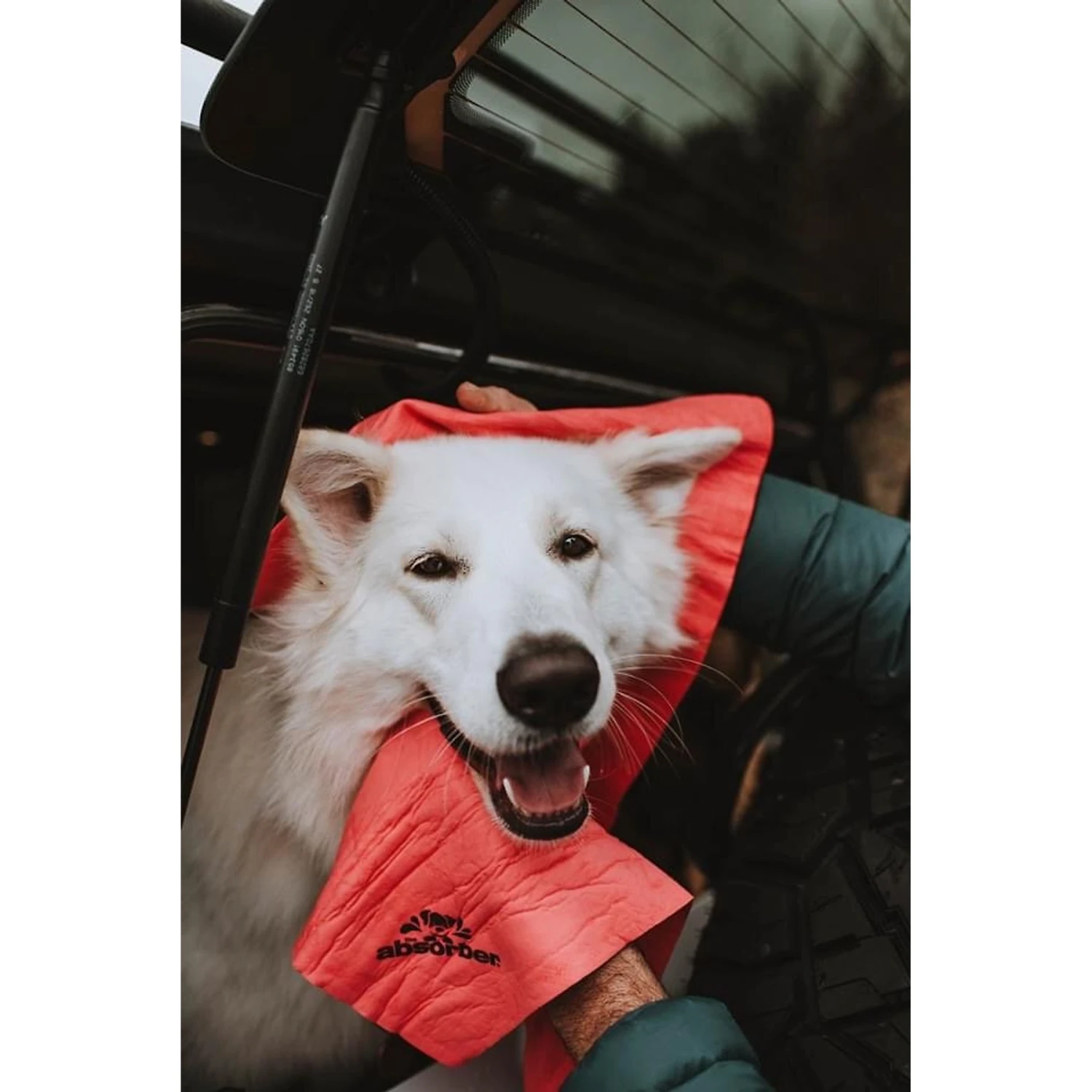 The Absorber XX-Large Pet Towel 4 The Absorber XX-Large Pet Towel - Image 4