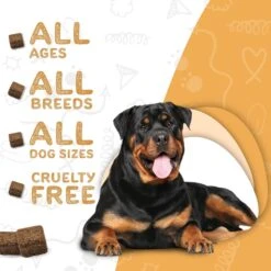 Waggedy Omega Max Joint & Skin Health Chews Supplement For Dogs, 60 Count -Pet Wellness 215836 PT5. AC SS1800 V1588194361