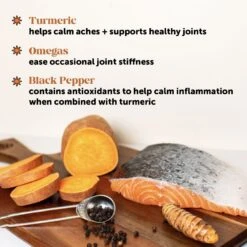 PetHonesty Hip + Joint Health Turmeric Pumpkin & Coconut Flavored Soft Chews Joint Supplement For Dogs 14 PetHonesty Hip + Joint Health Turmeric Pumpkin & Coconut Flavored Soft Chews Joint Supplement For Dogs -Pet Wellness 216116 PT6. AC SS1800 V1677249945