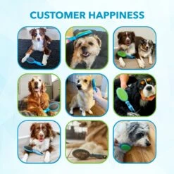 Boshel 2-in-1 Dog Brush & Hair Remover 15 Boshel 2-in-1 Dog Brush & Hair Remover -Pet Wellness 216779 PT6. AC SS1800 V1579199591