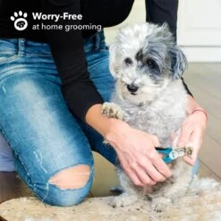 Boshel Dog Nail Clipper 11 Boshel Dog Nail Clipper -Pet Wellness 216783 PT3. AC SS1800 V1579199593