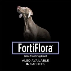 Purina Pro Plan Veterinary Diets FortiFlora Chewable Tablets Digestive Supplement For Dogs -Pet Wellness 216788 PT7. AC SS1800 V1700161400
