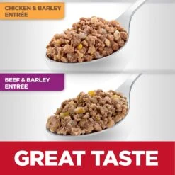 Hill's Science Diet Variety Pack Senior 7+ Canned Dog Food, 13-oz, Case Of 12 -Pet Wellness 217366 PT3. AC SS1800 V1580221379