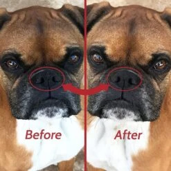 Pawstruck Ruff Relief Nose & Paw Dog Balm, 1.75-oz Jar -Pet Wellness 217491 PT3. AC SS1800 V1702057003