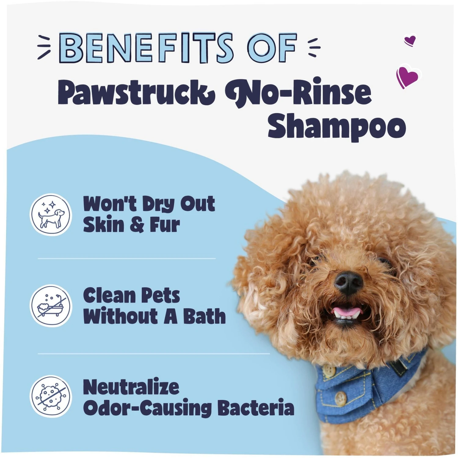 Pawstruck No-Rinse Dog, Cat & Horse Shampoo, 16-oz Bottle 2 Pawstruck No-Rinse Dog, Cat & Horse Shampoo, 16-oz Bottle - Image 2