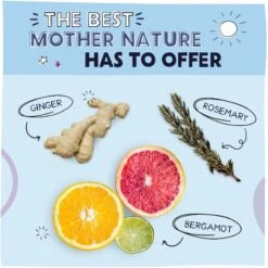 Pawstruck No-Rinse Dog, Cat & Horse Shampoo, 16-oz Bottle 8 Pawstruck No-Rinse Dog, Cat & Horse Shampoo, 16-oz Bottle -Pet Wellness 217528 PT3. AC SS1800 V1580828885