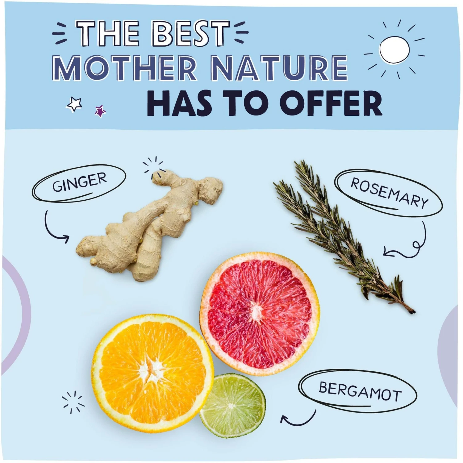 Pawstruck No-Rinse Dog, Cat & Horse Shampoo, 16-oz Bottle 4 Pawstruck No-Rinse Dog, Cat & Horse Shampoo, 16-oz Bottle - Image 4