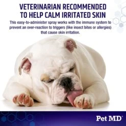 Pet MD Hydrocortisone Itch Relief Pet Hot Spot Spray, 4-oz Bottle -Pet Wellness 217812 PT3. AC SS1800 V1659886713