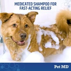 Pet MD Antiseptic & Anti-Fungal Medicated Pet Shampoo, 12-oz Bottle -Pet Wellness 217816 PT4. AC SS1800 V1659886890