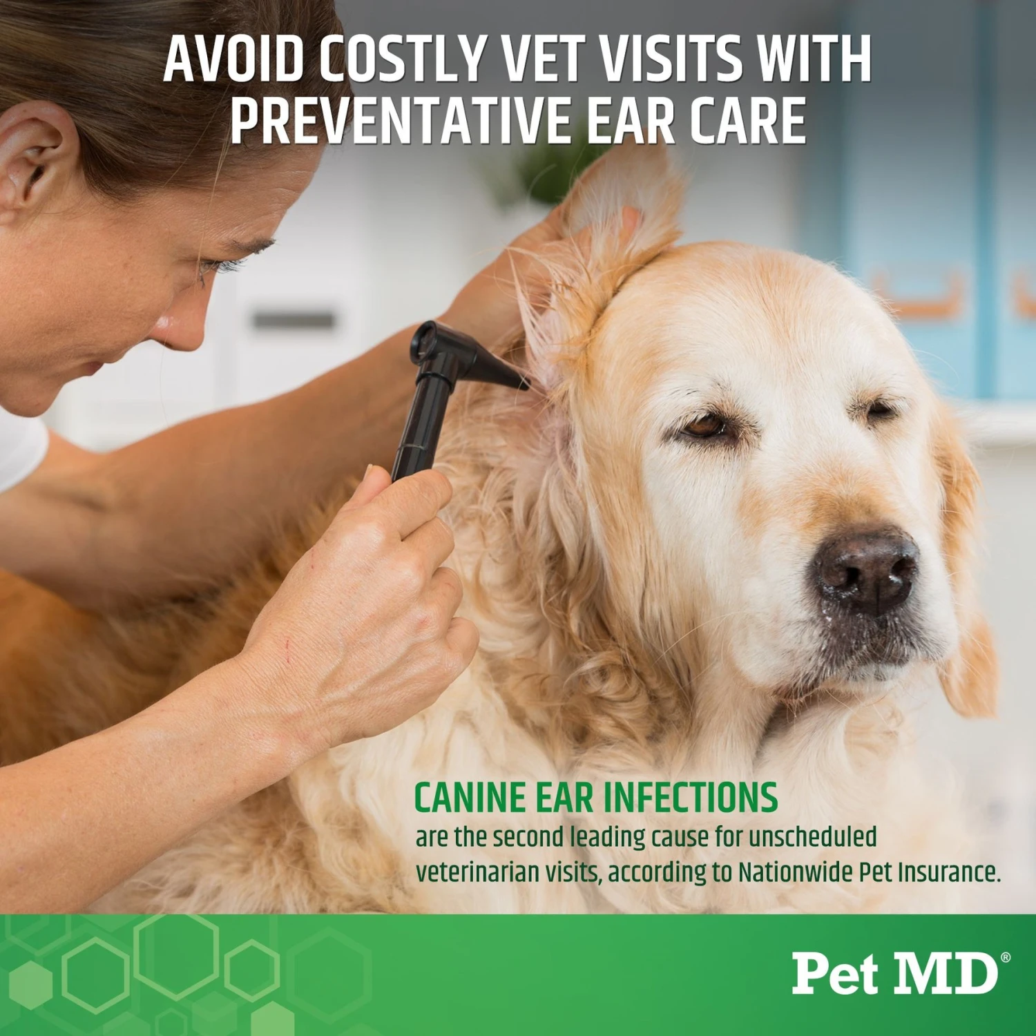 Pet MD Otic Clean Cucumber Melon Scent Dog & Cat Ear Cleanser, 8-oz Bottle 4 Pet MD Otic Clean Cucumber Melon Scent Dog & Cat Ear Cleanser, 8-oz Bottle - Image 4