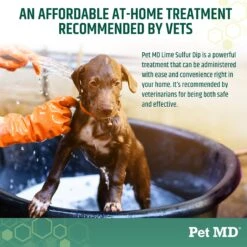 Pet MD Lime Sulfur Dip Pet Treatment, 16-oz Bottle -Pet Wellness 217828 PT4. AC SS1800 V1659886831