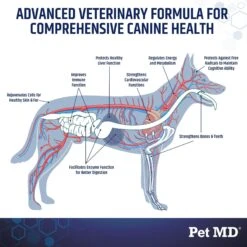 Pet MD Multivitamin Immune Booster Dog Supplement, 60 Count -Pet Wellness 217830 PT2. AC SS1800 V1659886954