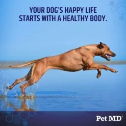 Pet MD Multivitamin Immune Booster Dog Supplement, 60 Count -Pet Wellness 217830 PT4. AC SS1800 V1659886713