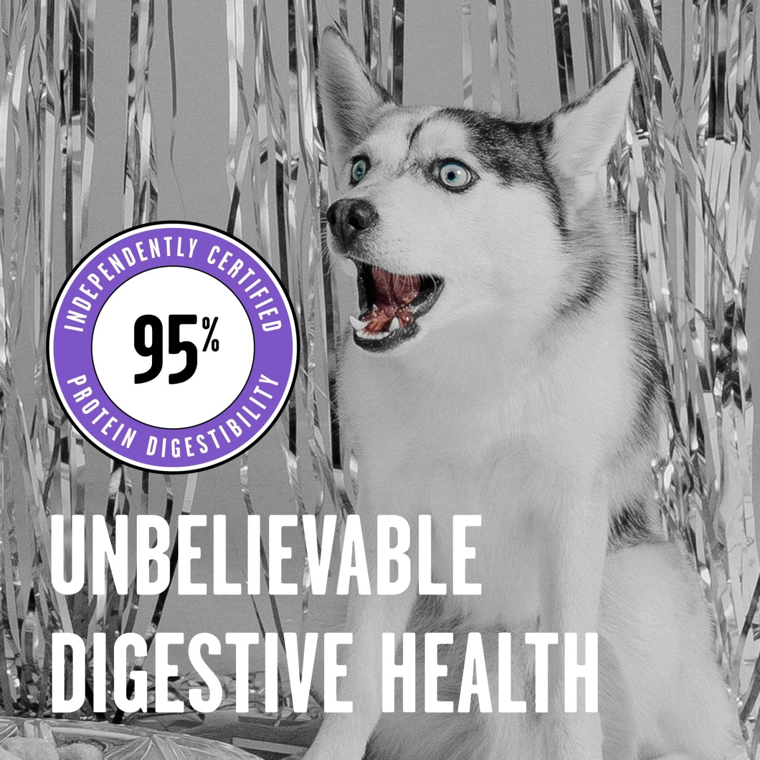 BIXBI Rawbble Lamb Recipe Grain-Free Freeze-Dried Dog Food 4 BIXBI Rawbble Lamb Recipe Grain-Free Freeze-Dried Dog Food - Image 4