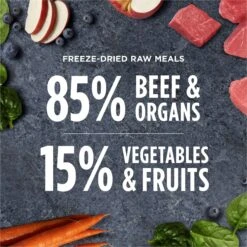 Instinct Freeze-Dried Raw Meals Real Beef Recipe Grain-Free Dog Food -Pet Wellness 219420 PT5. AC SS1800 V1690554615