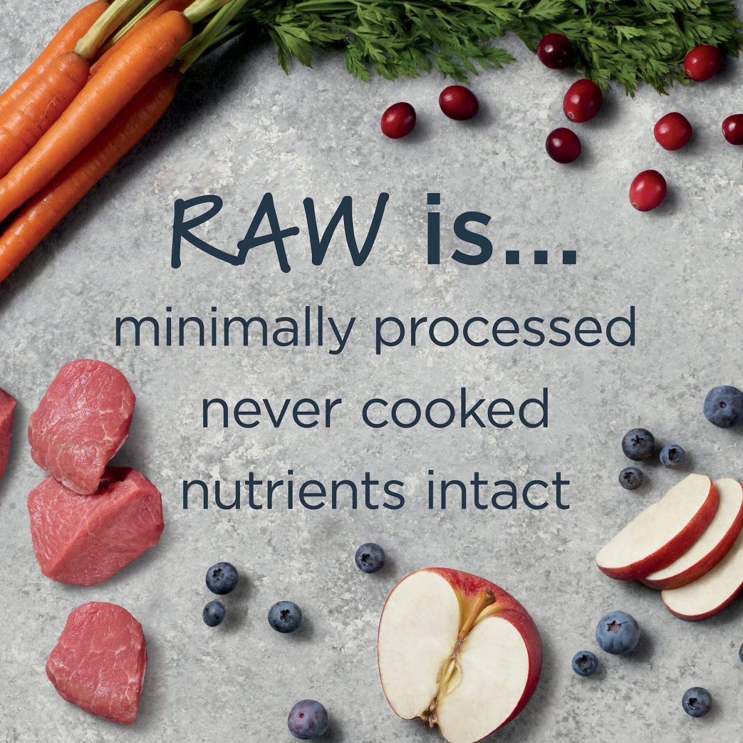 Instinct Raw Boost Whole Grain Real Lamb & Oatmeal Recipe Freeze-Dried Raw Coated Dry Dog Food 4 Instinct Raw Boost Whole Grain Real Lamb & Oatmeal Recipe Freeze-Dried Raw Coated Dry Dog Food - Image 4