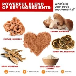 VetSmart Formulas Critical Immune Defense Mushroom & Turmeric Compound Dog & Cat Supplement, 6.3-oz Bottle -Pet Wellness 221393 PT2. AC SS1800 V1652903522