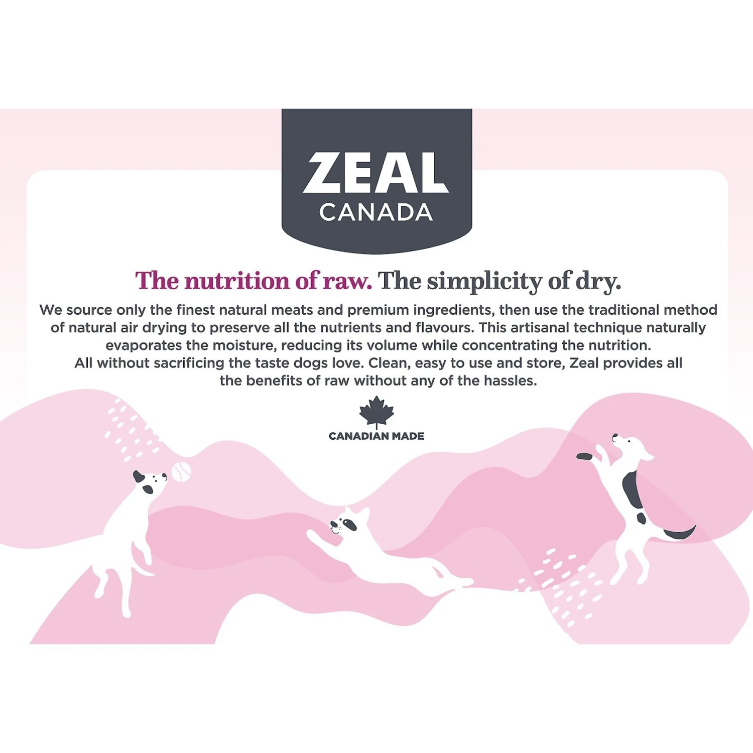 Zeal Canada Gently Turkey Recipe Grain-Free Air-Dried Dog Food 4 Zeal Canada Gently Turkey Recipe Grain-Free Air-Dried Dog Food - Image 4