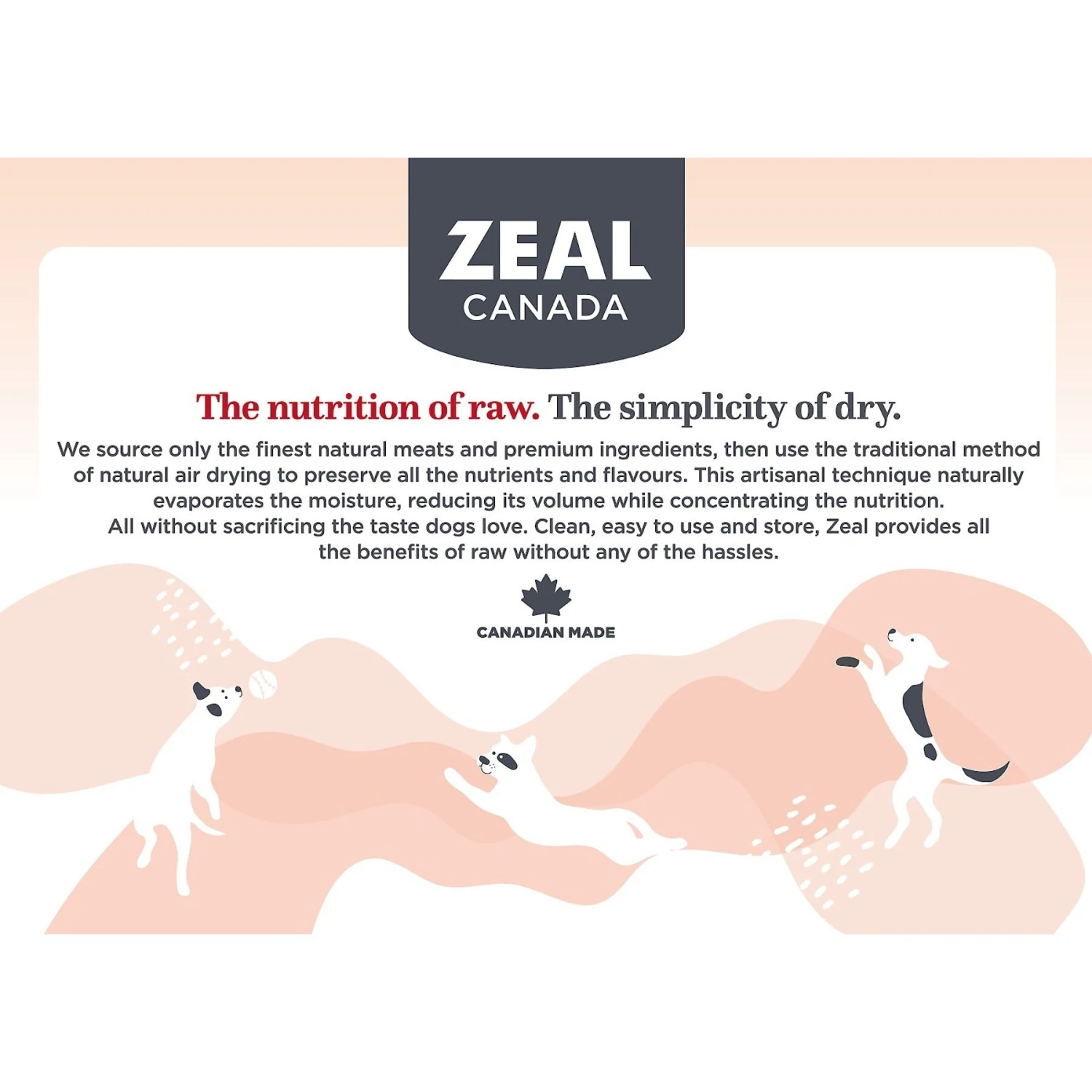 Zeal Canada Gently Beef Recipe & Freeze-Dried Salmon & Pumpkin Grain-Free Air-Dried Dog Food 4 Zeal Canada Gently Beef Recipe & Freeze-Dried Salmon & Pumpkin Grain-Free Air-Dried Dog Food - Image 4
