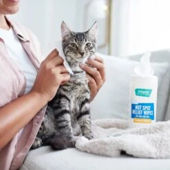 Frisco Hot Spot Relief Wipes -Pet Wellness 222163 PT2. AC SS1800 V1602831392