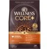 Wellness CORE RawRev Wholesome Grains Original Recipe High Protein Dry Dog Food