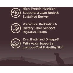 Wellness CORE Wholesome Grains Original Recipe High Protein Dry Dog Food 9 Wellness CORE Wholesome Grains Original Recipe High Protein Dry Dog Food -Pet Wellness 222317 PT2. AC SS1800 V1677612888