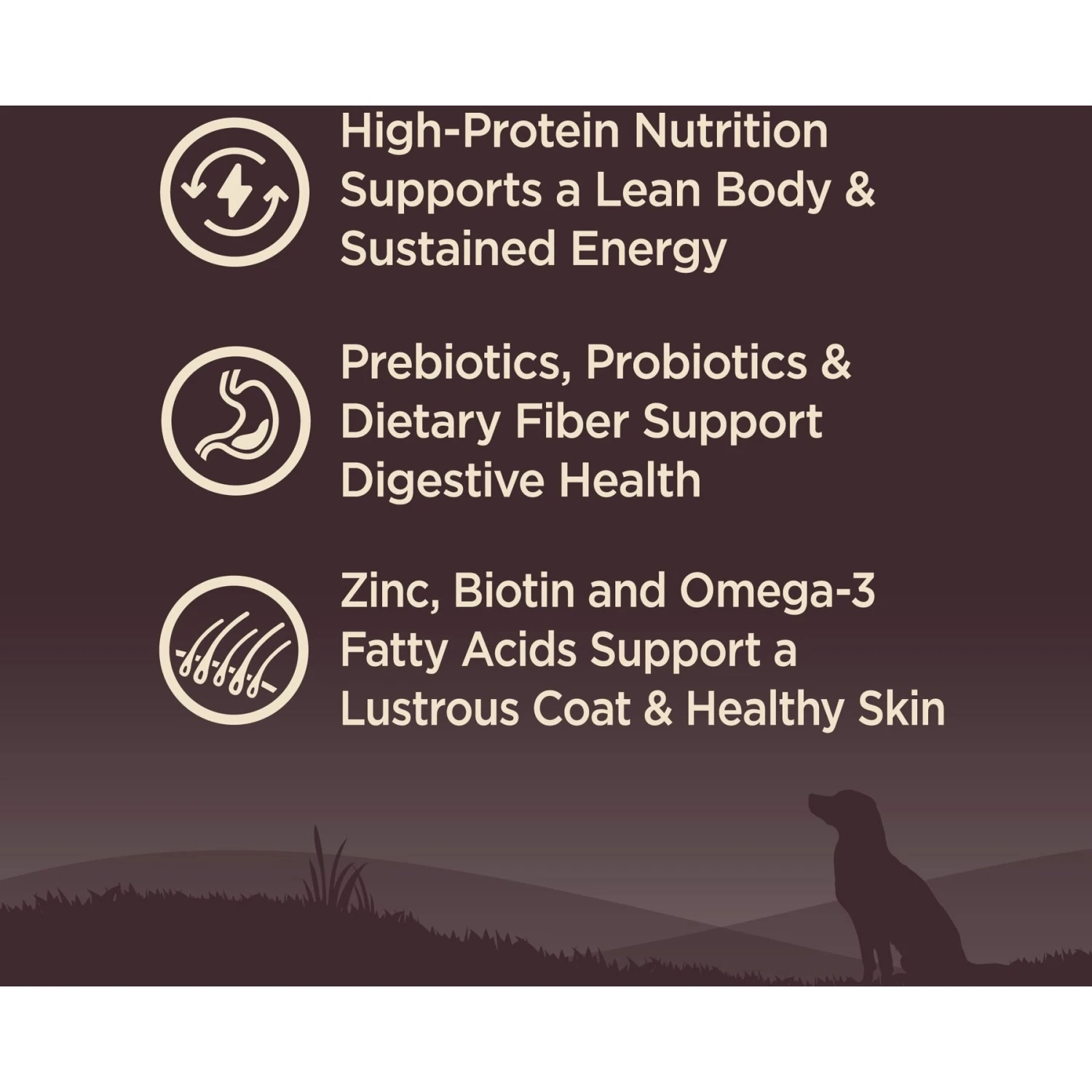 Wellness CORE Wholesome Grains Original Recipe High Protein Dry Dog Food 3 Wellness CORE Wholesome Grains Original Recipe High Protein Dry Dog Food - Image 3