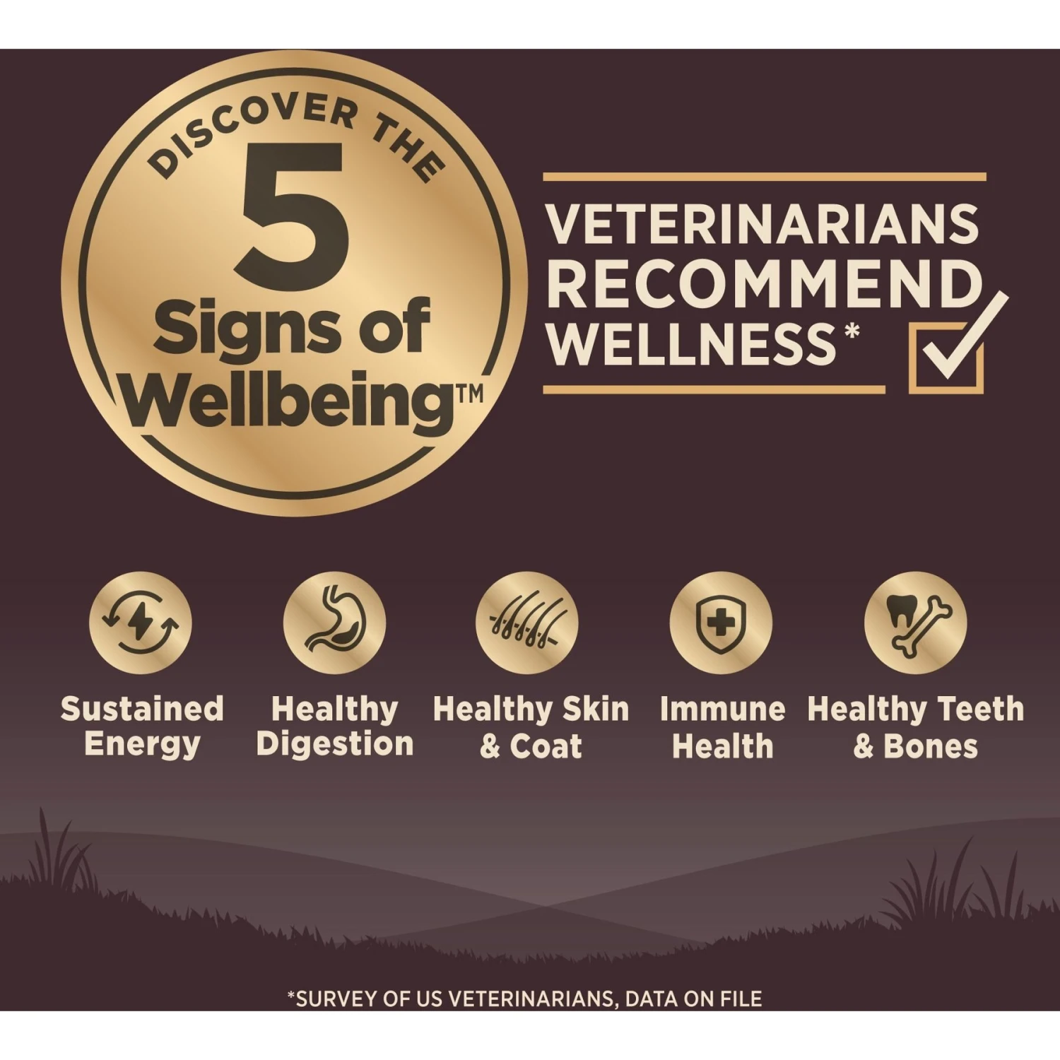 Wellness CORE Wholesome Grains Small Breed Original Recipe High Protein Dry Dog Food 4 Wellness CORE Wholesome Grains Small Breed Original Recipe High Protein Dry Dog Food - Image 4