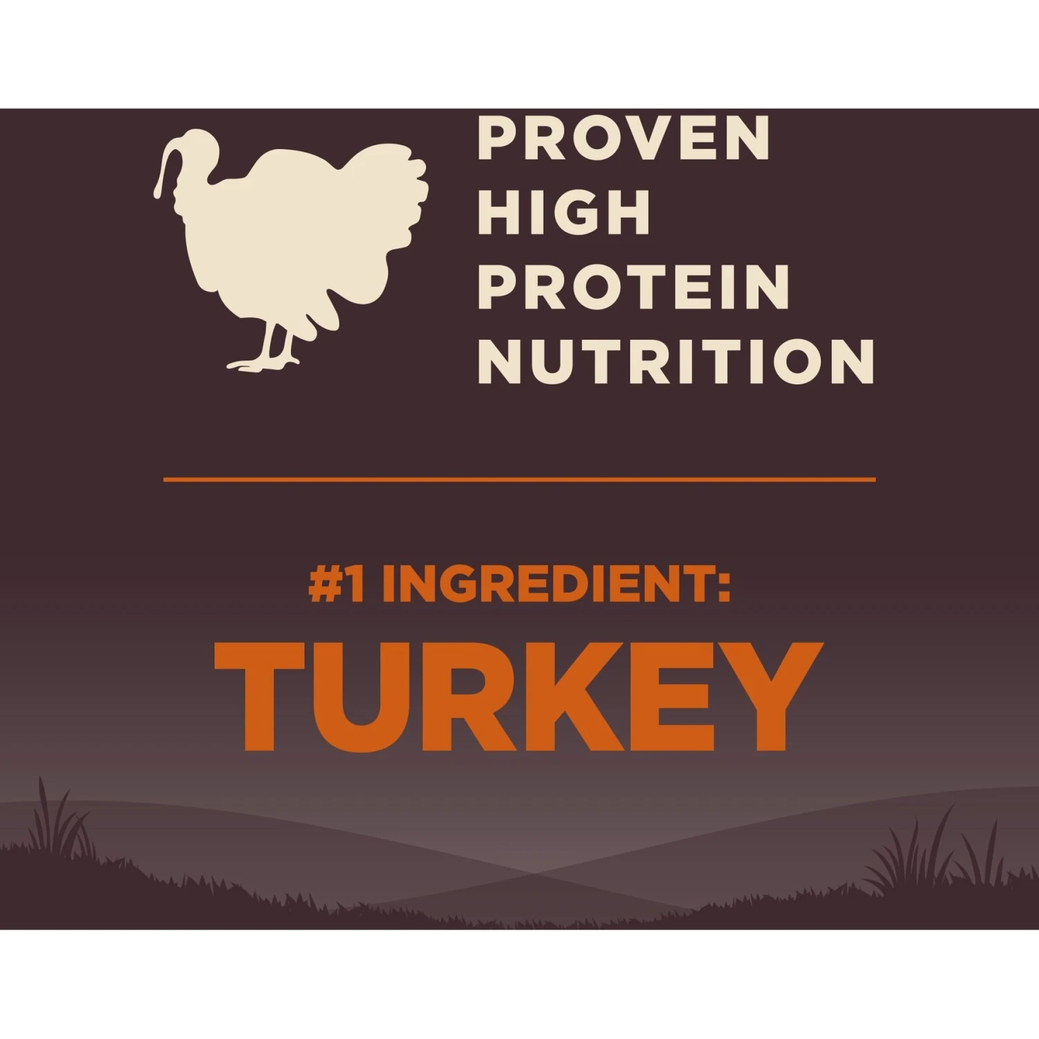 Wellness CORE Wholesome Grains Small Breed Original Recipe High Protein Dry Dog Food 5 Wellness CORE Wholesome Grains Small Breed Original Recipe High Protein Dry Dog Food - Image 5