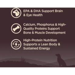 Wellness CORE Wholesome Grains Puppy High Protein Dry Dog Food 9 Wellness CORE Wholesome Grains Puppy High Protein Dry Dog Food -Pet Wellness 222326 PT2. AC SS1800 V1677612891