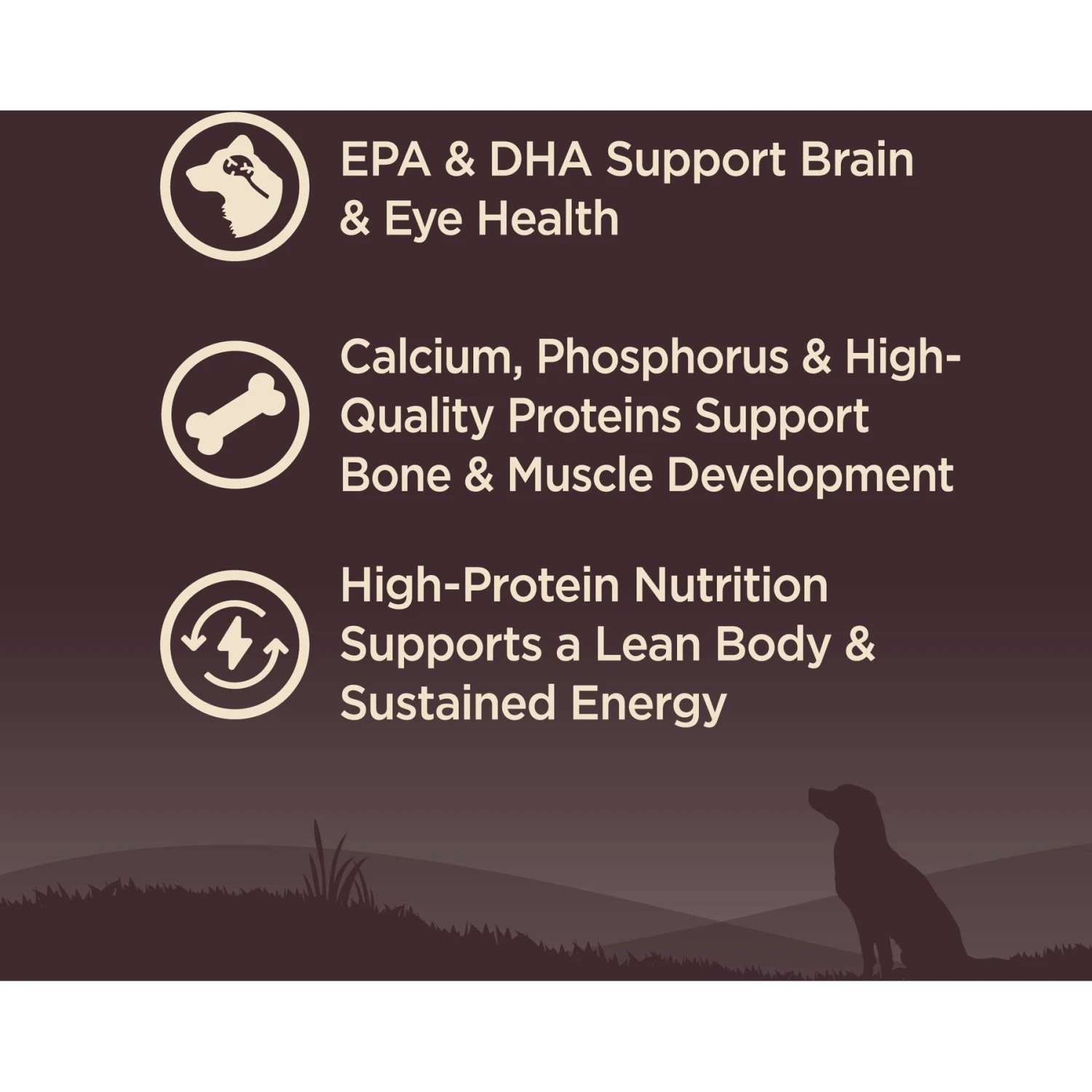 Wellness CORE Wholesome Grains Puppy High Protein Dry Dog Food 3 Wellness CORE Wholesome Grains Puppy High Protein Dry Dog Food - Image 3