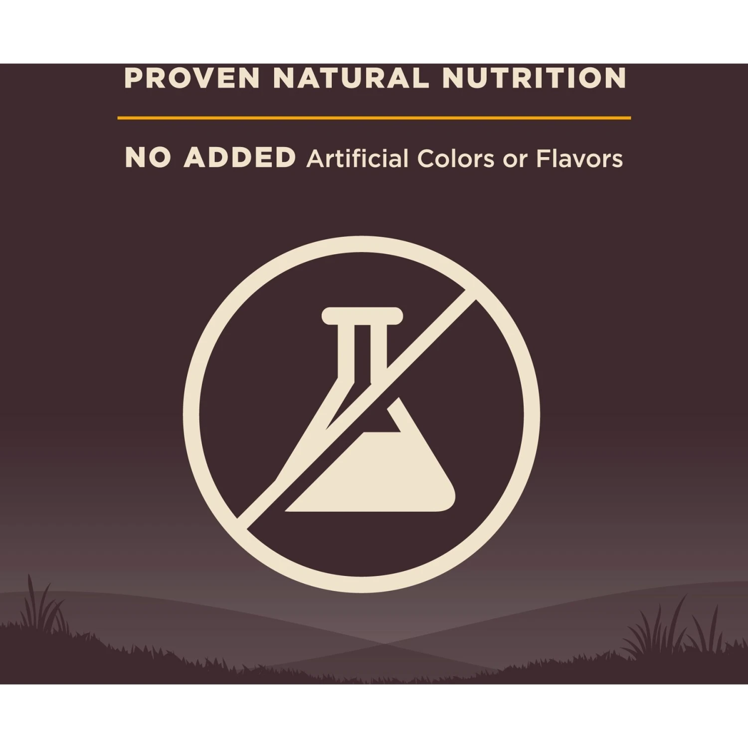 Wellness CORE Wholesome Grains Puppy High Protein Dry Dog Food 6 Wellness CORE Wholesome Grains Puppy High Protein Dry Dog Food - Image 6