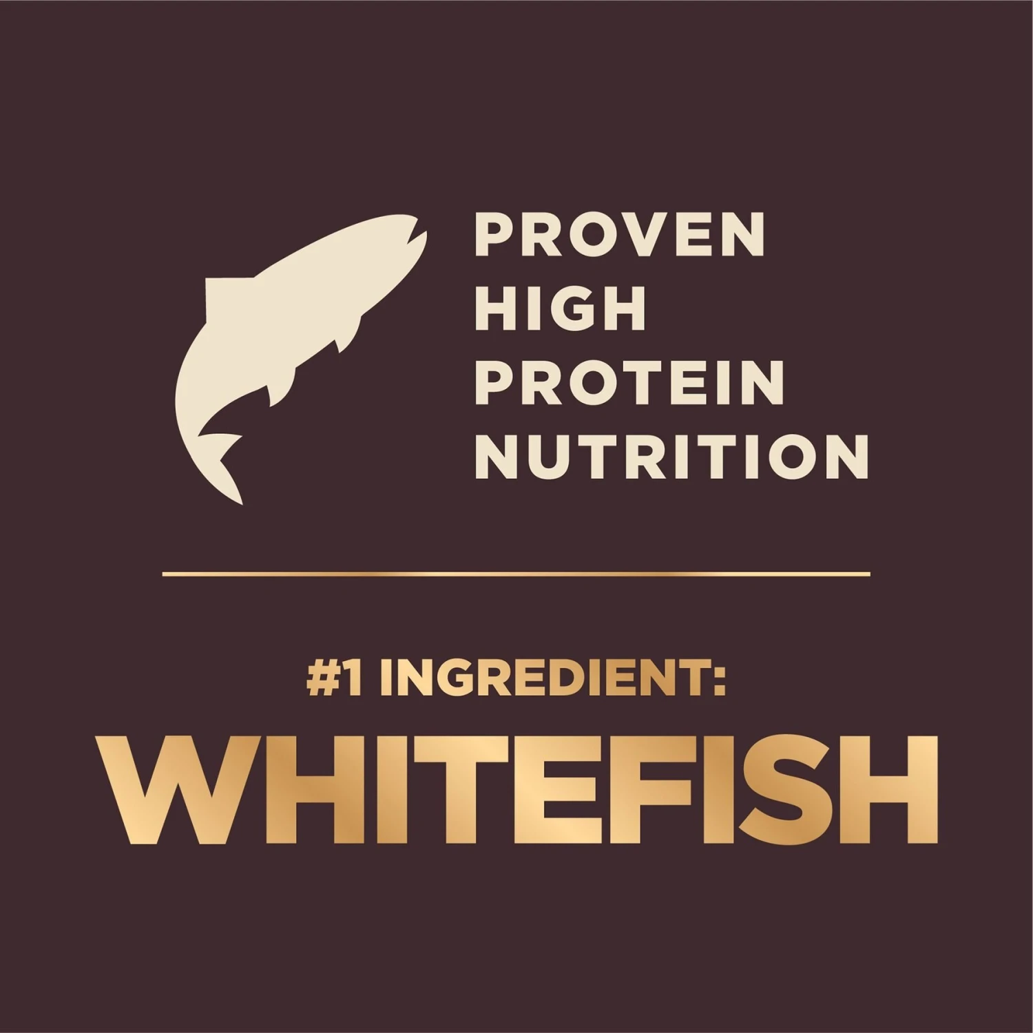 Wellness CORE RawRev High Protein Grain-Free Ocean Whitefish, Herring & Salmon Meal Recipe Dry Dog Food 6 Wellness CORE RawRev High Protein Grain-Free Ocean Whitefish, Herring & Salmon Meal Recipe Dry Dog Food - Image 6