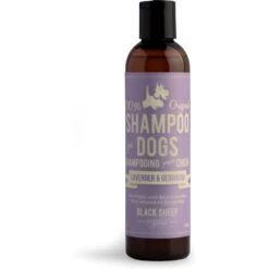 Black Sheep Organics Lavender & Geranium Scent Dog Shampoo, 8-oz Bottle