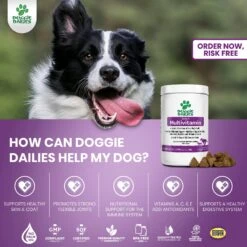 Doggie Dailies 5-in-1 Multivitamin Soft Chew Dog Supplement, 225 Count -Pet Wellness 222747 PT3. AC SS1800 V1647294465