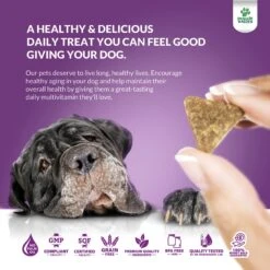 Doggie Dailies 5-in-1 Multivitamin Soft Chew Dog Supplement, 225 Count -Pet Wellness 222747 PT5. AC SS1800 V1647293305