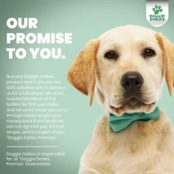 Doggie Dailies 5-in-1 Multivitamin Soft Chew Dog Supplement, 225 Count -Pet Wellness 222747 PT6. AC SS1800 V1632958297