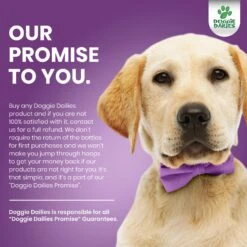 Doggie Dailies 5-in-1 Multivitamin Soft Chew Dog Supplement, 225 Count -Pet Wellness 222747 PT7. AC SS1800 V1647294405