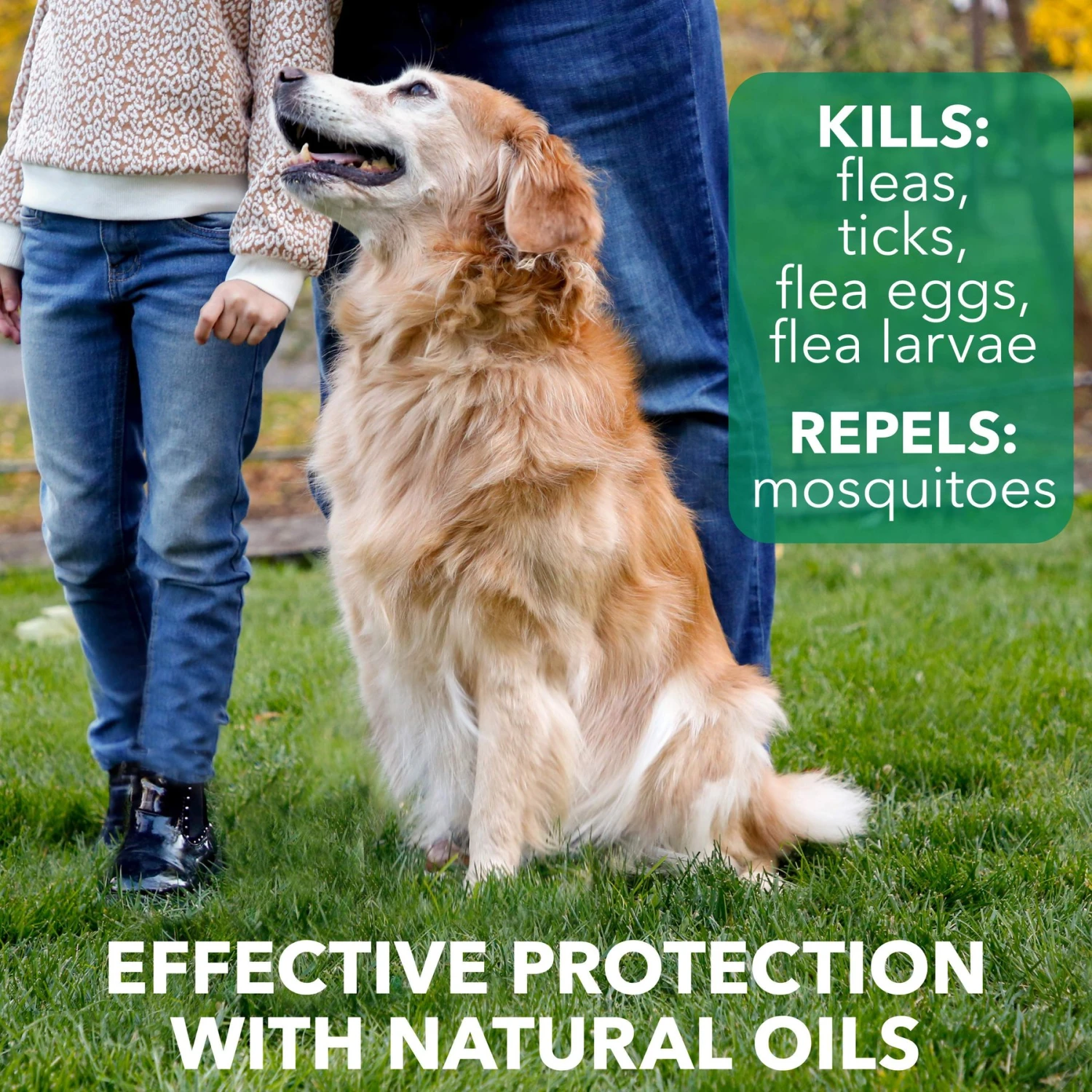 Hartz Nature's Shield Natural Flea & Tick Home Spray 3 Hartz Nature's Shield Natural Flea & Tick Home Spray - Image 3