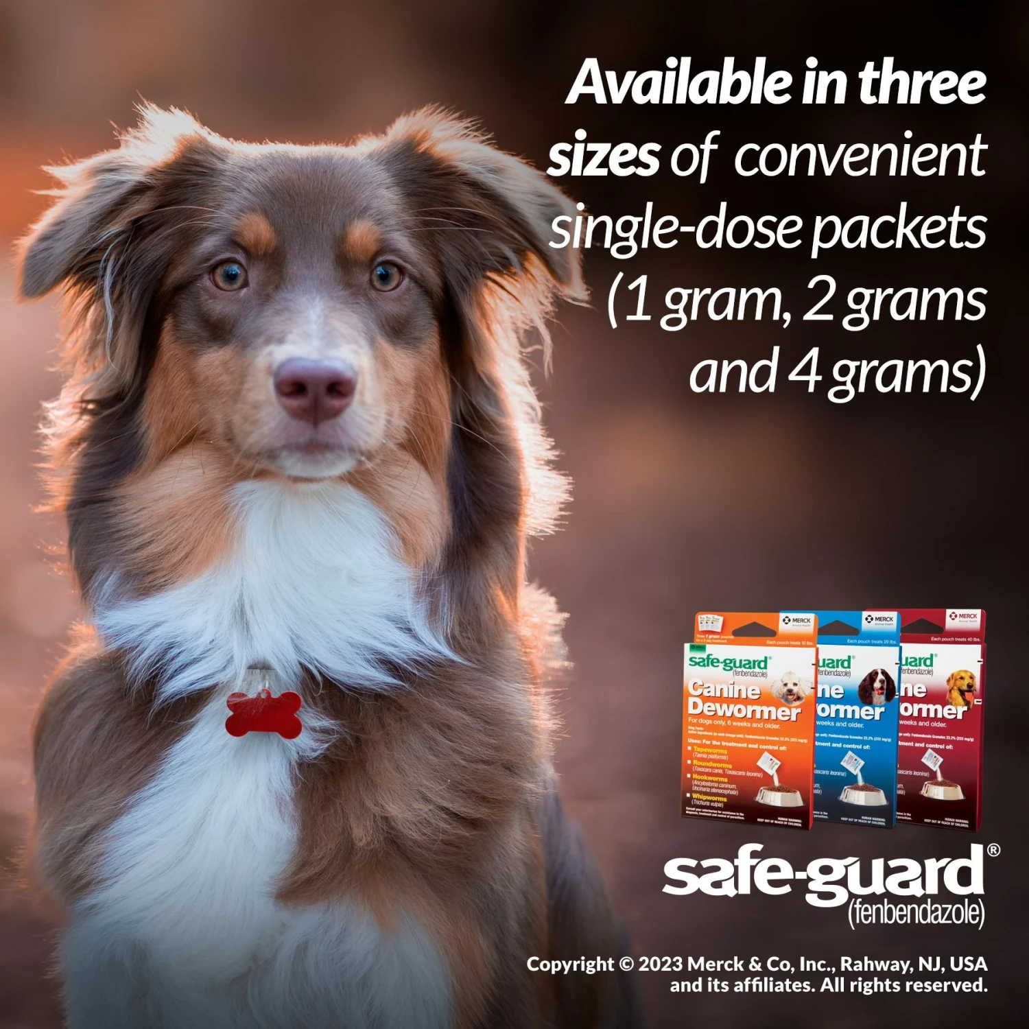 Safe-Guard Dewormer For Hookworms, Roundworms, Tapeworms & Whipworms For Medium Breed Dogs 4 Safe-Guard Dewormer For Hookworms, Roundworms, Tapeworms & Whipworms For Medium Breed Dogs - Image 4