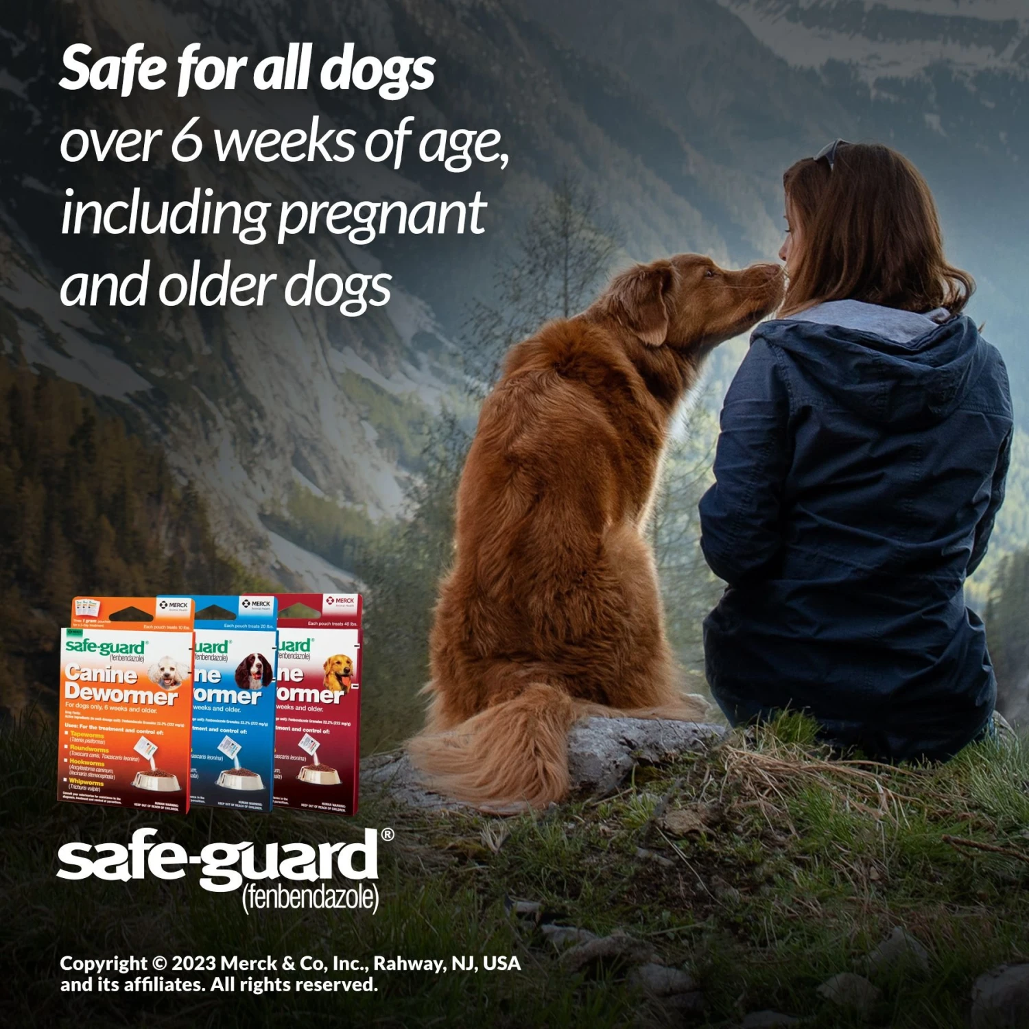 Safe-Guard Dewormer For Hookworms, Roundworms, Tapeworms & Whipworms For Medium Breed Dogs 5 Safe-Guard Dewormer For Hookworms, Roundworms, Tapeworms & Whipworms For Medium Breed Dogs - Image 5