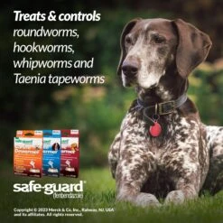 Safe-Guard Dewormer For Hookworms, Roundworms, Tapeworms & Whipworms For Medium Breed Dogs 13 Safe-Guard Dewormer For Hookworms, Roundworms, Tapeworms & Whipworms For Medium Breed Dogs -Pet Wellness 223059 PT5. AC SS1800 V1703009028