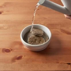 Tylee's Freeze-Dried Meals For Dogs, Beef Recipe 12 Tylee's Freeze-Dried Meals For Dogs, Beef Recipe -Pet Wellness 223071 PT5. AC SS1800 V1595086860