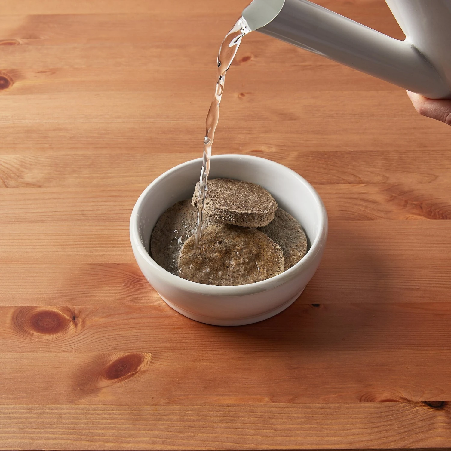 Tylee's Freeze-Dried Meals For Dogs, Beef Recipe 6 Tylee's Freeze-Dried Meals For Dogs, Beef Recipe - Image 6