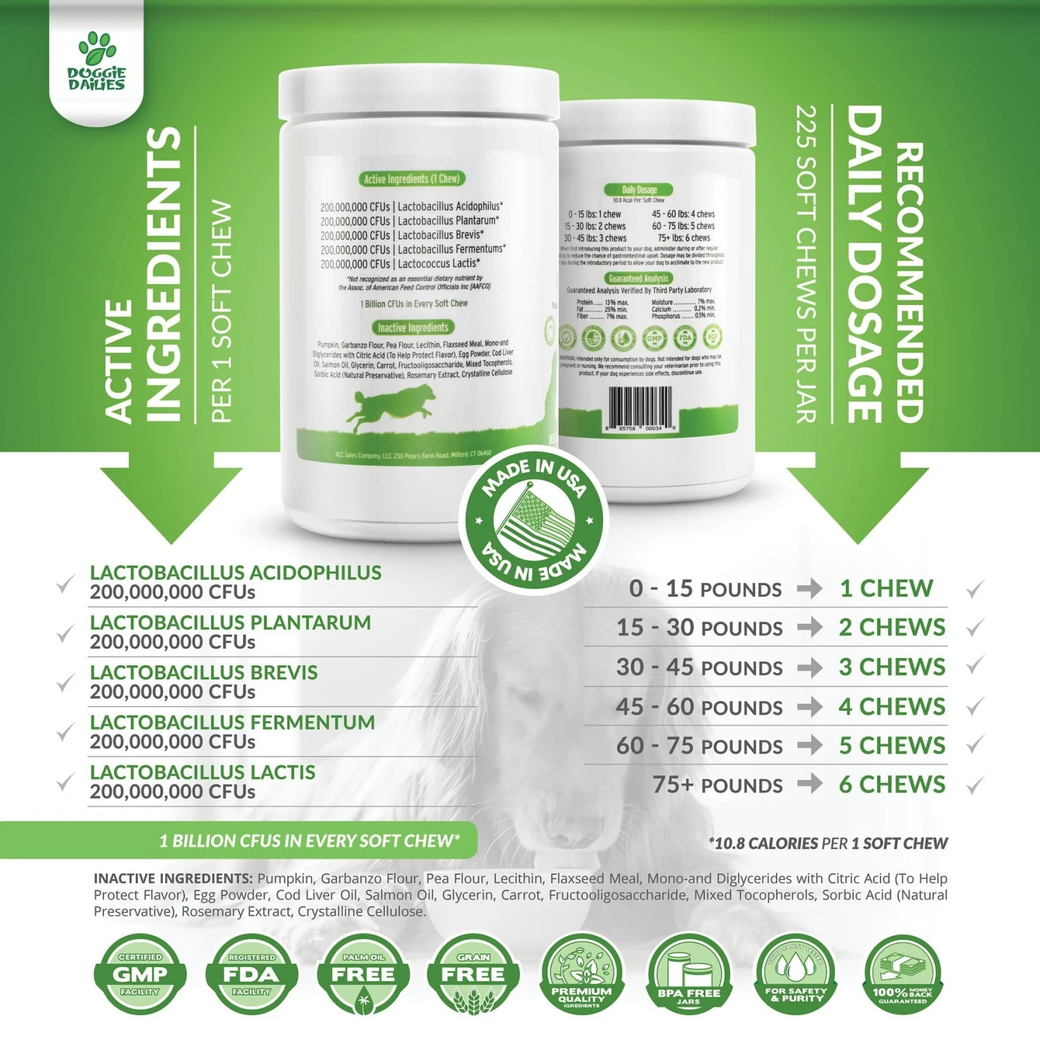 Doggie Dailies Advanced Probiotics Pumpkin Flavor Soft Chew Dog Supplement, 225 Count 2 Doggie Dailies Advanced Probiotics Pumpkin Flavor Soft Chew Dog Supplement, 225 Count - Image 2