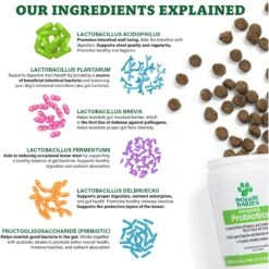 Doggie Dailies Advanced Probiotics Pumpkin Flavor Soft Chew Dog Supplement, 225 Count 10 Doggie Dailies Advanced Probiotics Pumpkin Flavor Soft Chew Dog Supplement, 225 Count -Pet Wellness 223300 PT5. AC SS1800 V1583177294