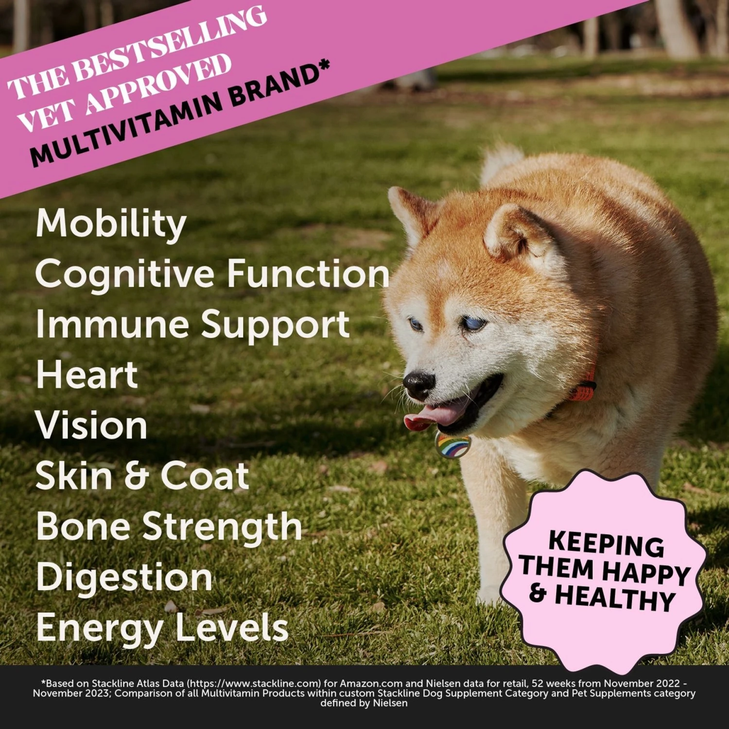 PetHonesty Duck Flavored Soft Chews Multivitamin For Senior Dogs 2 PetHonesty Duck Flavored Soft Chews Multivitamin For Senior Dogs - Image 2