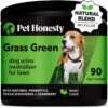 PetHonesty Grass Green Turkey Flavored Soft Chews Digestive Supplement For Dogs