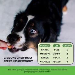 PetHonesty Grass Green Turkey Flavored Soft Chews Digestive Supplement For Dogs -Pet Wellness 223366 PT4. AC SS1800 V1701186303